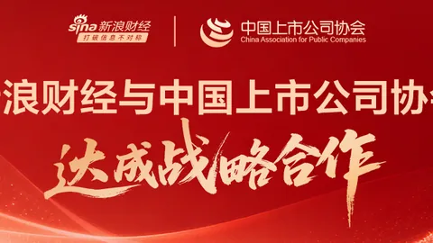 网易新游神秘英雄，技能热议引爆电竞圈